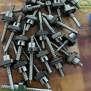 Linear Ball Screw Assembly Linear Ball Screw Assembly